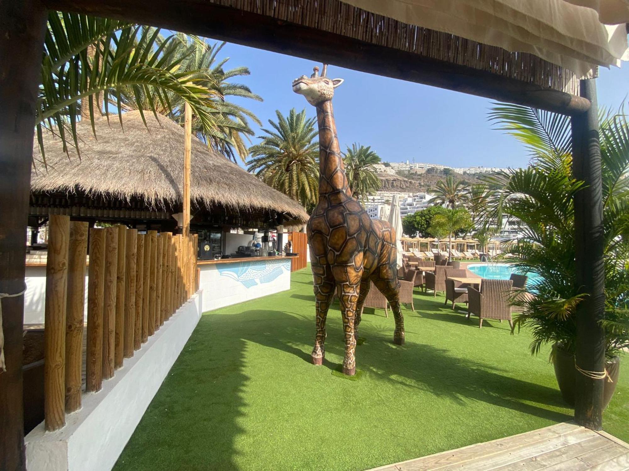 Mogán Modern Ground Floor Apartment , A Few Steps From The Beach المظهر الخارجي الصورة