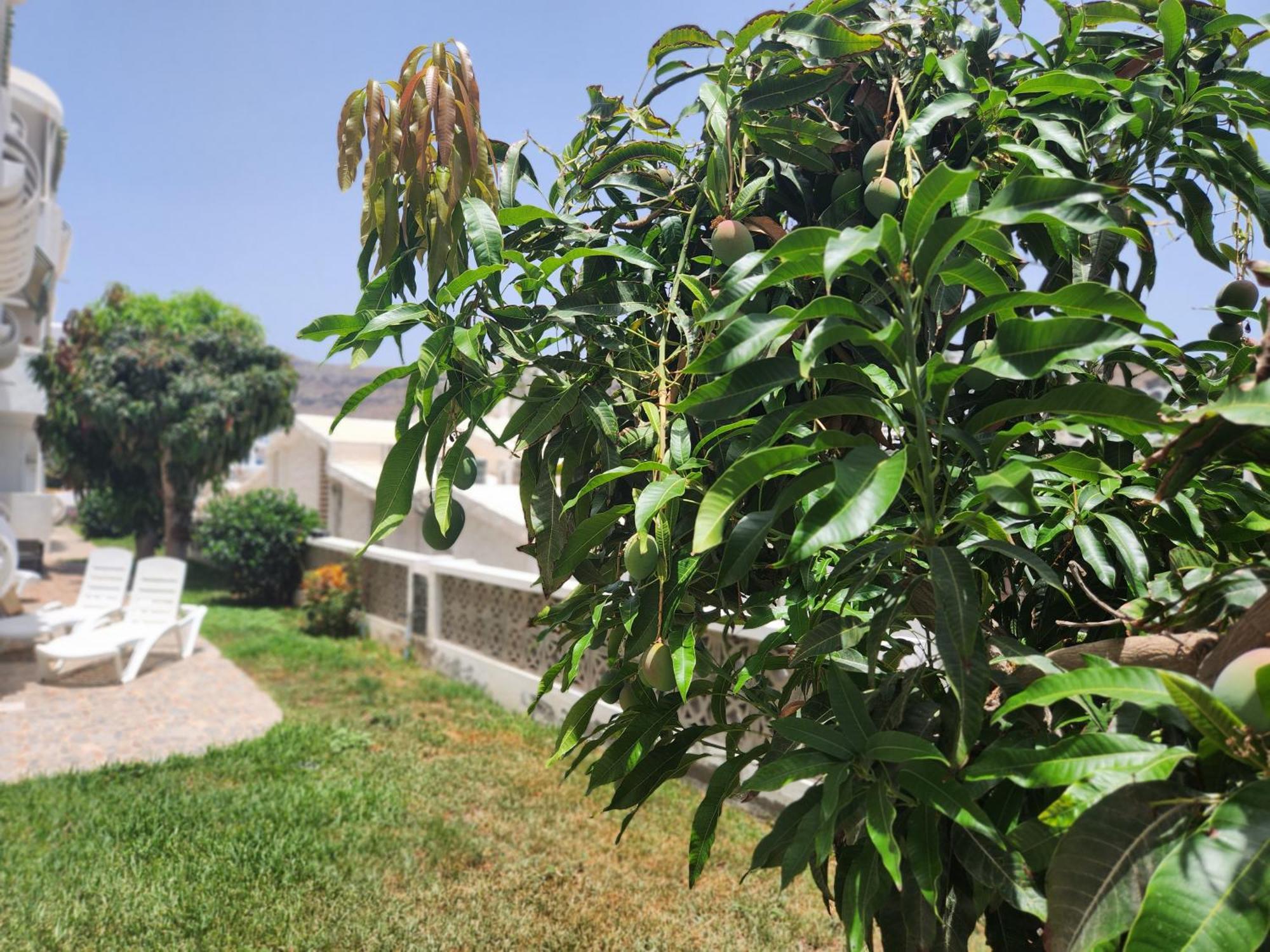 Mogán Modern Ground Floor Apartment , A Few Steps From The Beach المظهر الخارجي الصورة