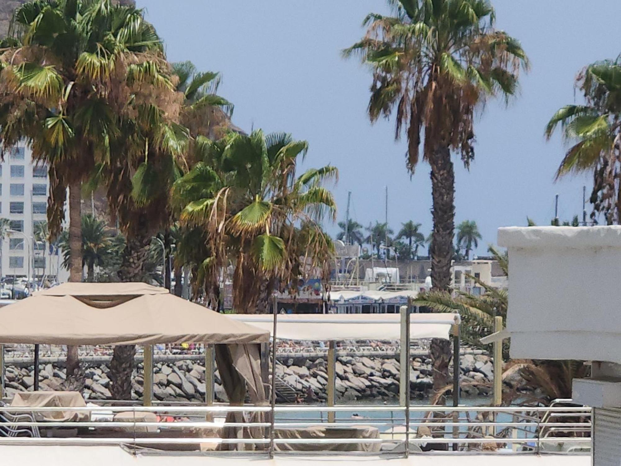 Mogán Modern Ground Floor Apartment , A Few Steps From The Beach المظهر الخارجي الصورة
